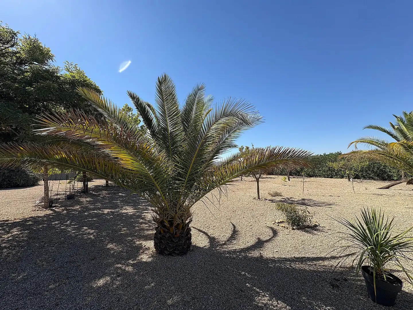 Casa o xalet en venda en Biar amb Calefacció, Jardí privat i Parquet