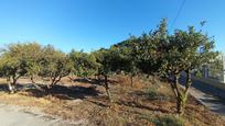 Country house for sale in Puerto Lumbreras, imagen 3