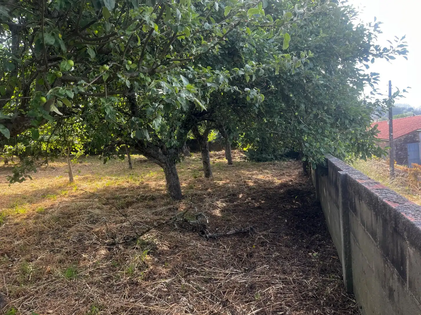 Casa rústica amb jardí en venda a Silleda, imagen 20