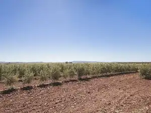 Finca rústica en venda en Badajoz amb Jardí privat, Terrassa i Piscina