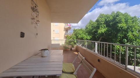 Photo 2 of Apartment to rent in Les Maravelles, Illes Balears