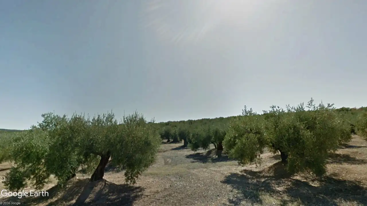 Terreni e lotti in vendita a Torredonjimeno