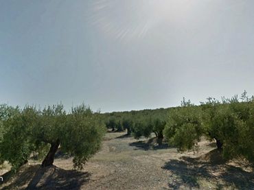 Terreno rústico en venta en N/A