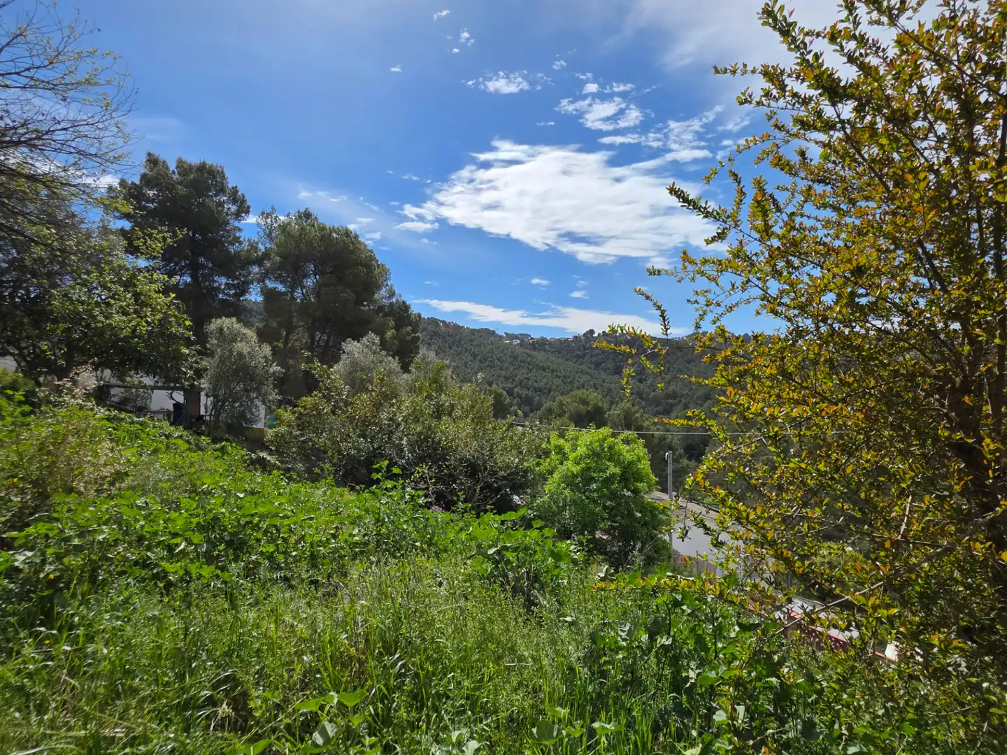 Casa o xalet en venda en Sant Andreu de la Barca amb Aire condicionat, Calefacció i Jardí privat
