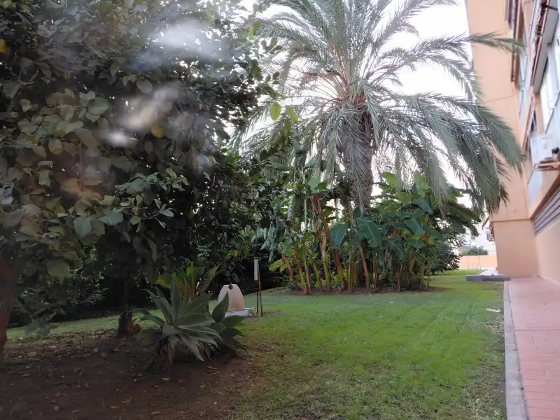 Flat with pool for sale in Centro ciudad, imagen 3
