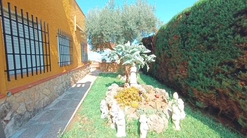 Foto 4 de Casa o xalet en venda a Aigua Blanca, Oliva Playa, Oliva