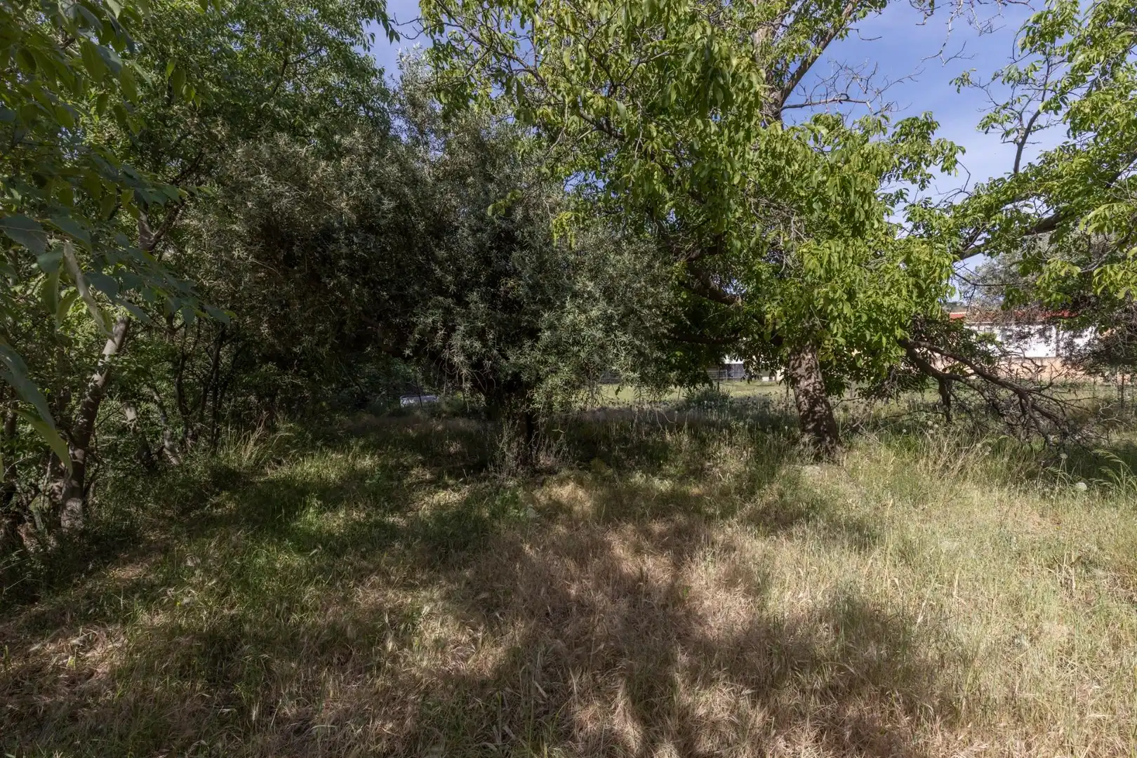 Lands and plots for sale in Carretera de Maitena, imagen 17