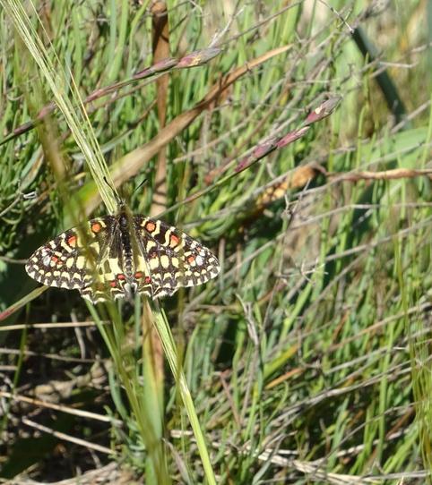 Photo 2 of Land for sale in Las Trescientas - San Francisco - Ciudad Vergel, Alicante