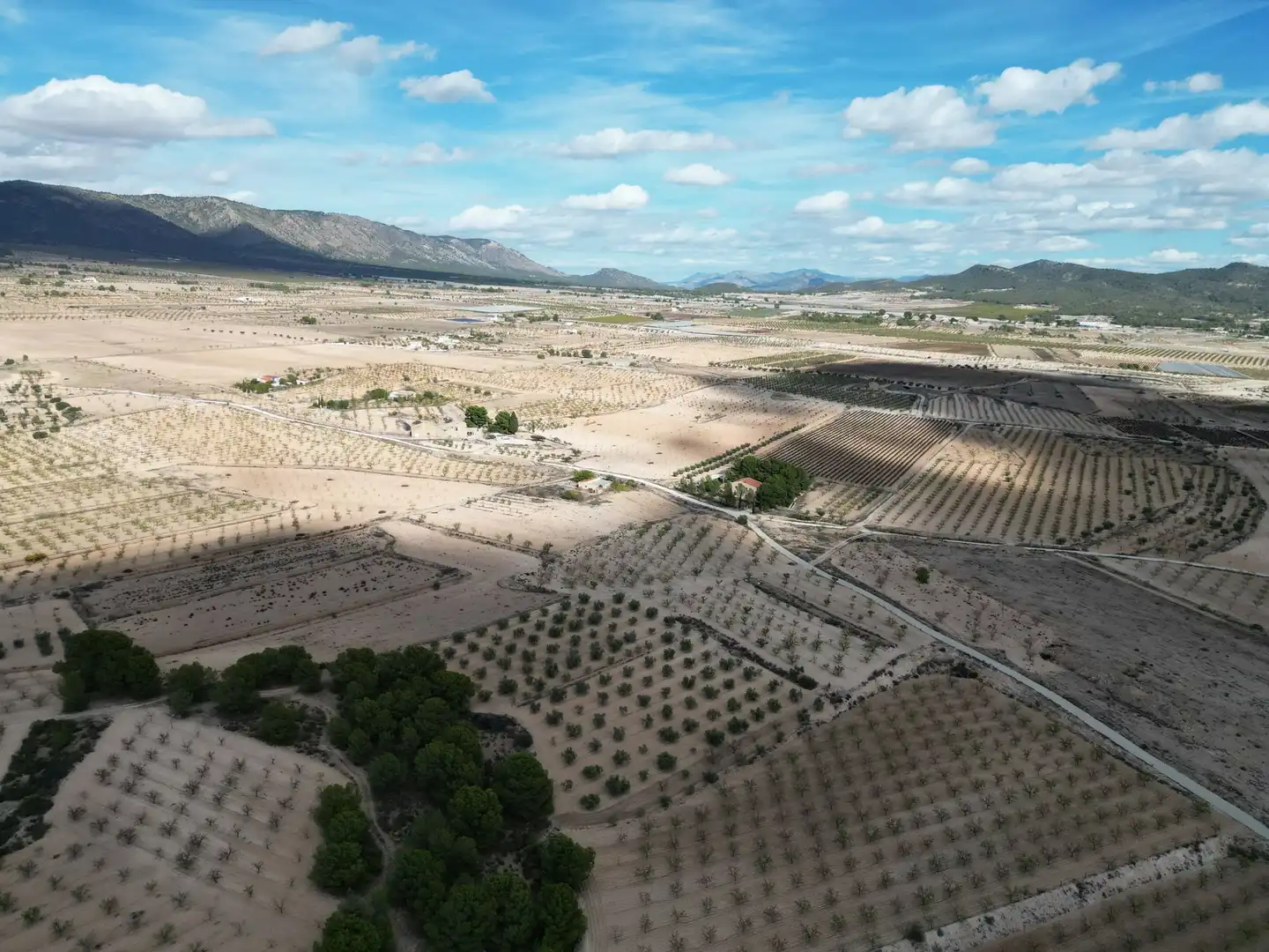 Terreno residencial en venta en El Pinós / Pinoso, imagen 6