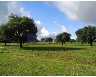 Finca rústica en venda en Valdehúncar