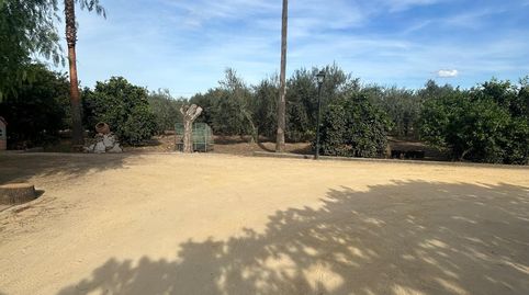 Foto 4 de Casa o chalet en venta en Pedanías Norte, Utrera