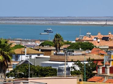 Wohnung zum Verkauf in Monteolivete - Camino Sevilla