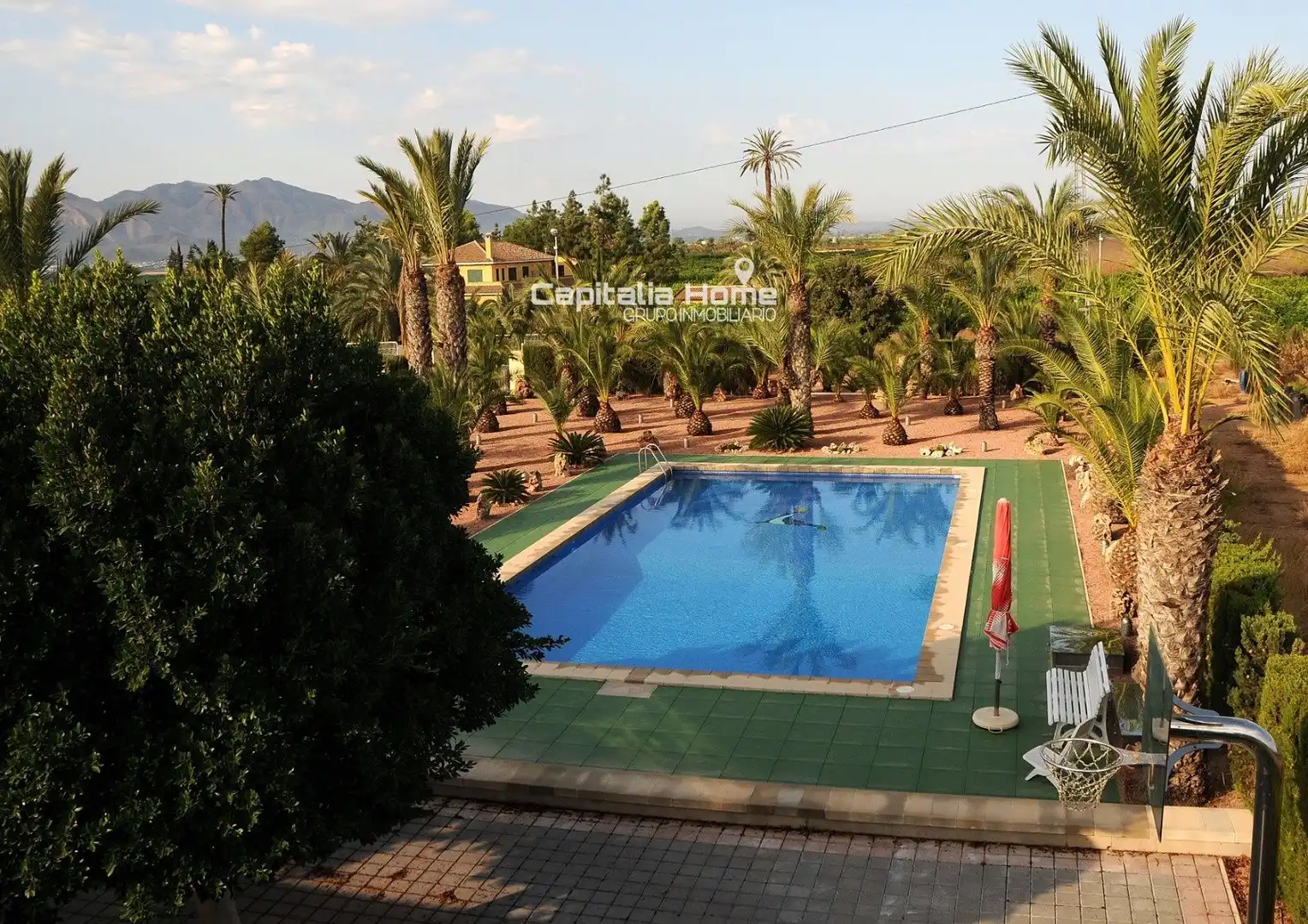 Piscina de Casa o chalet en venta en Orihuela