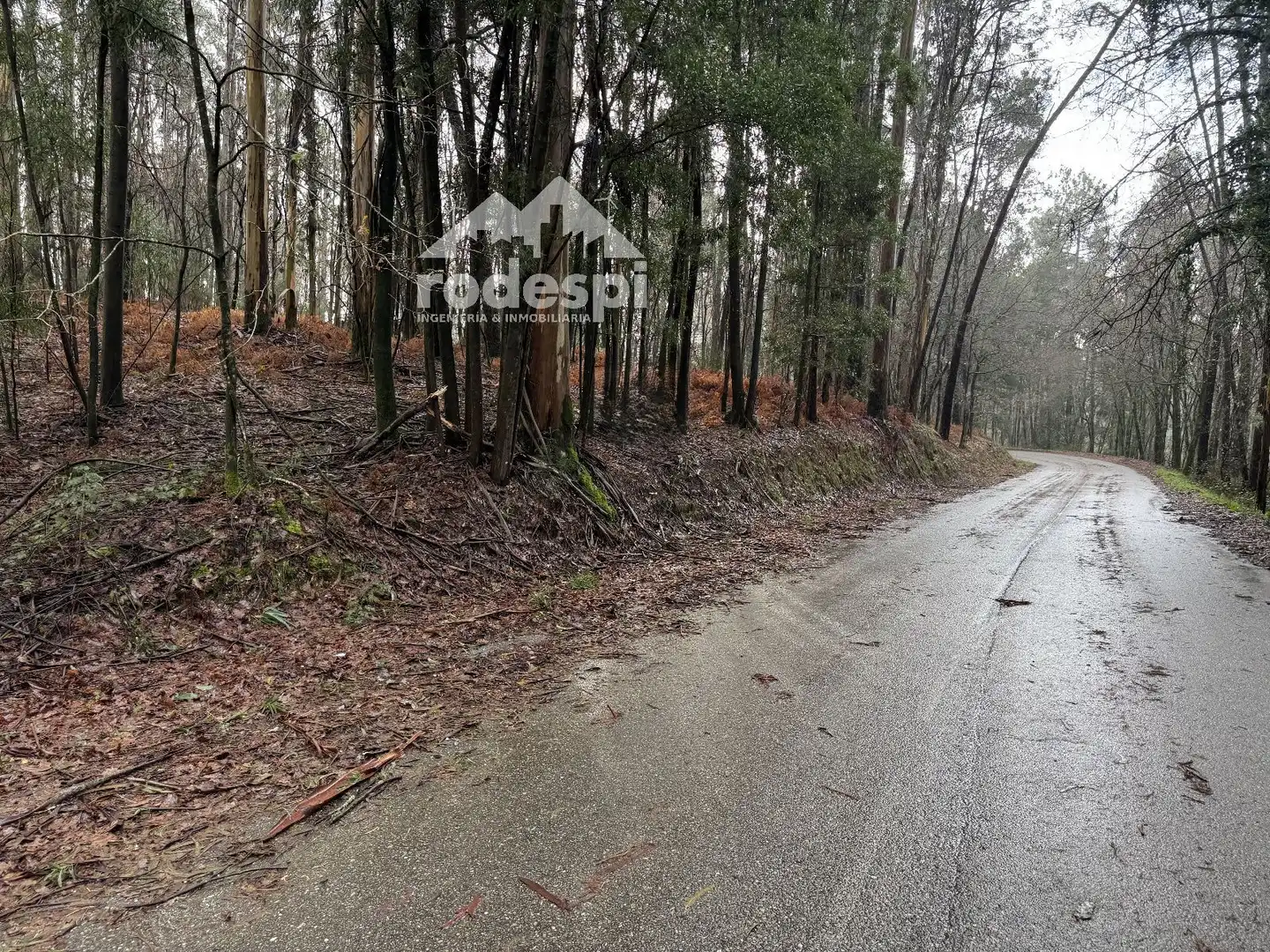 Terrenys i solars en venda a Ponteareas, imagen 11