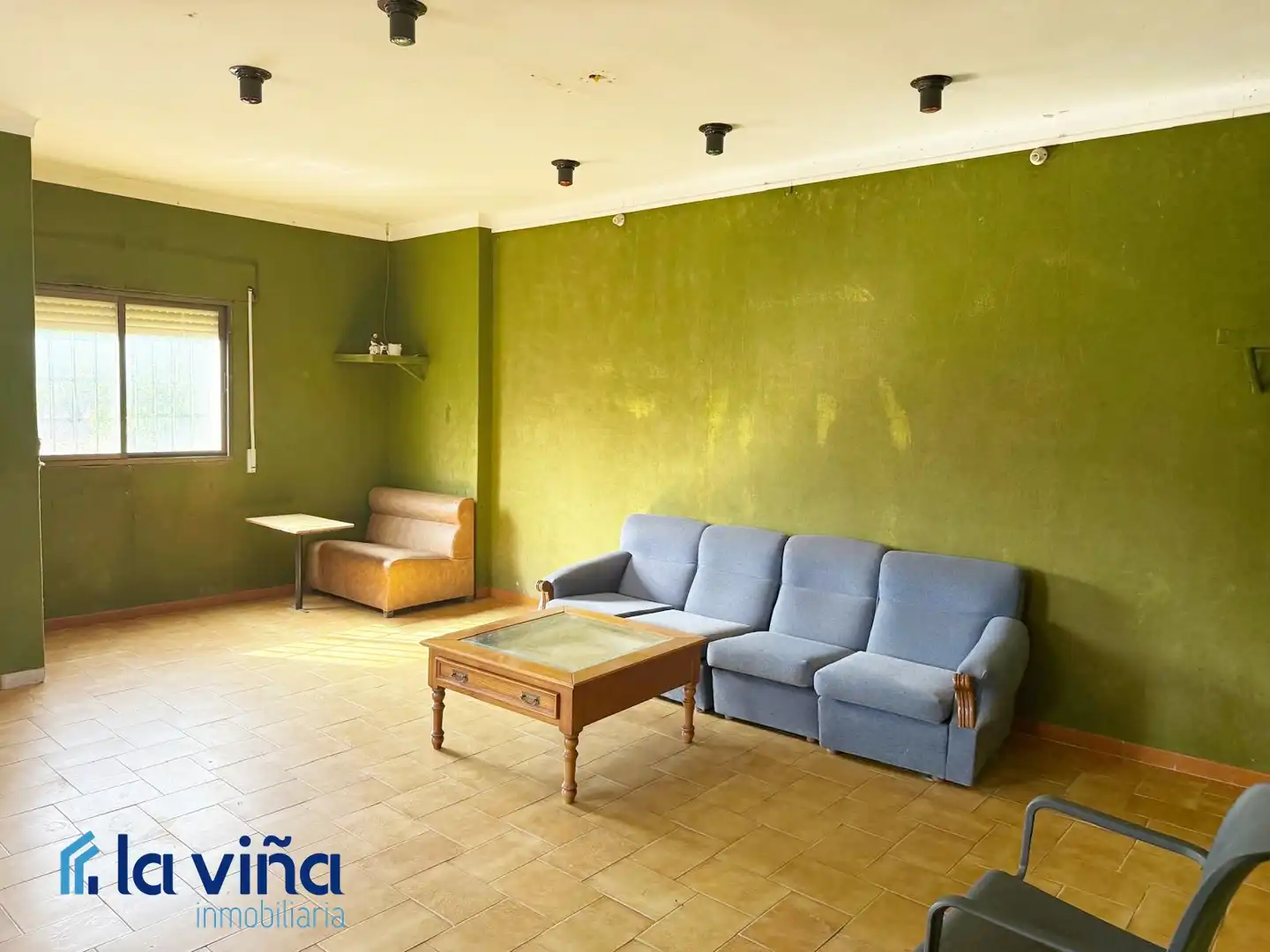 Sala d'estar de Casa o xalet en venda en Loja amb Terrassa, Traster i Moblat