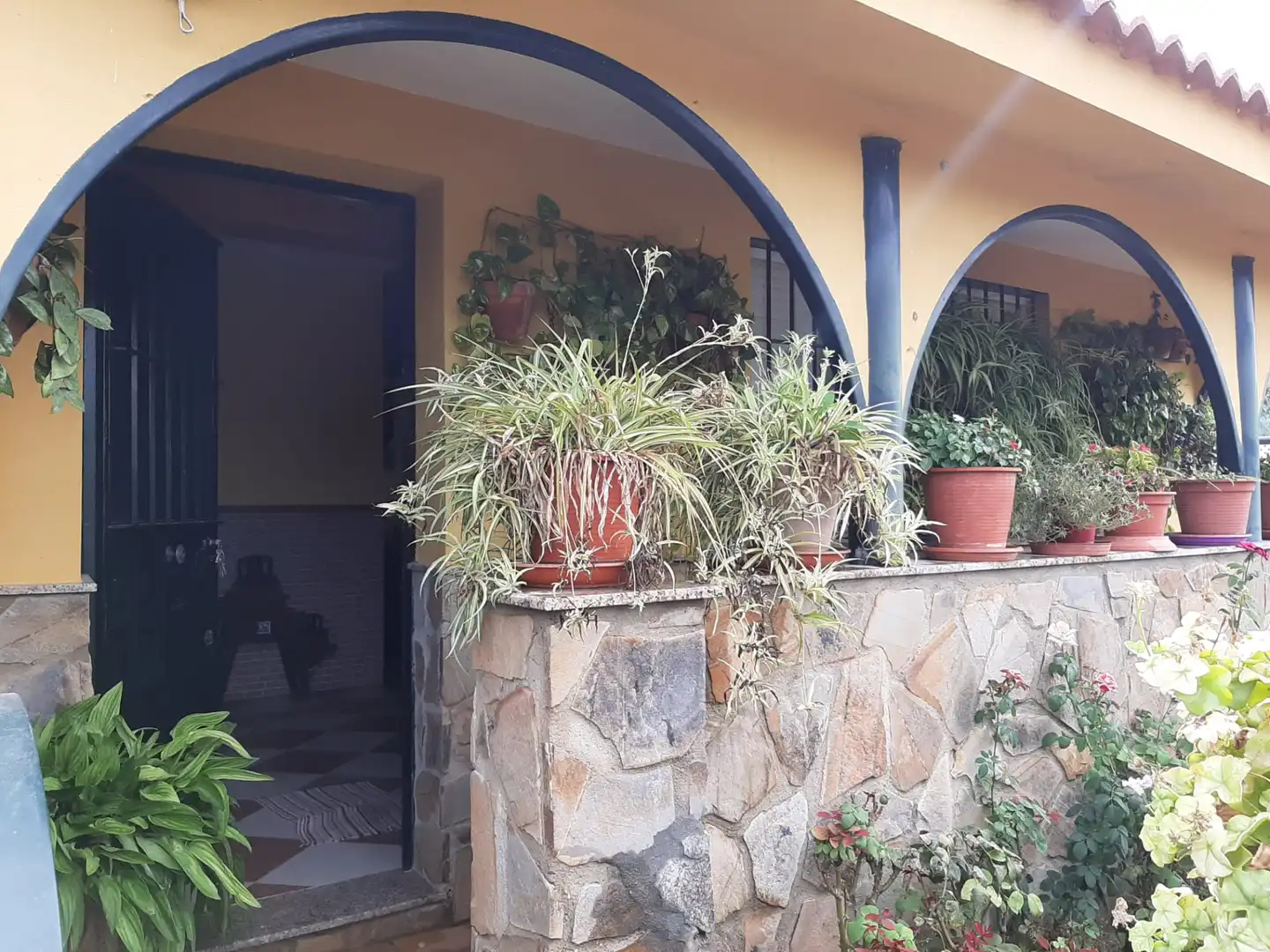 Chalet con piscina en venta en Cantillana 50B, imagen 7