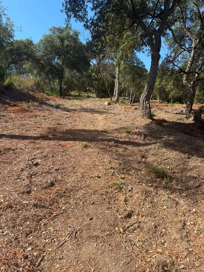 Terreni e lotti in vendita a Sant Celoni, imagen 16