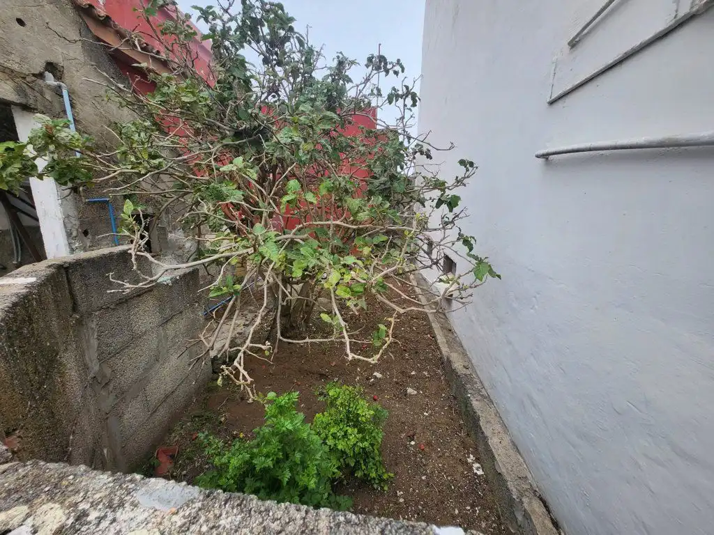 Casa o chalet en venta en Vega de San Mateo con Terraza