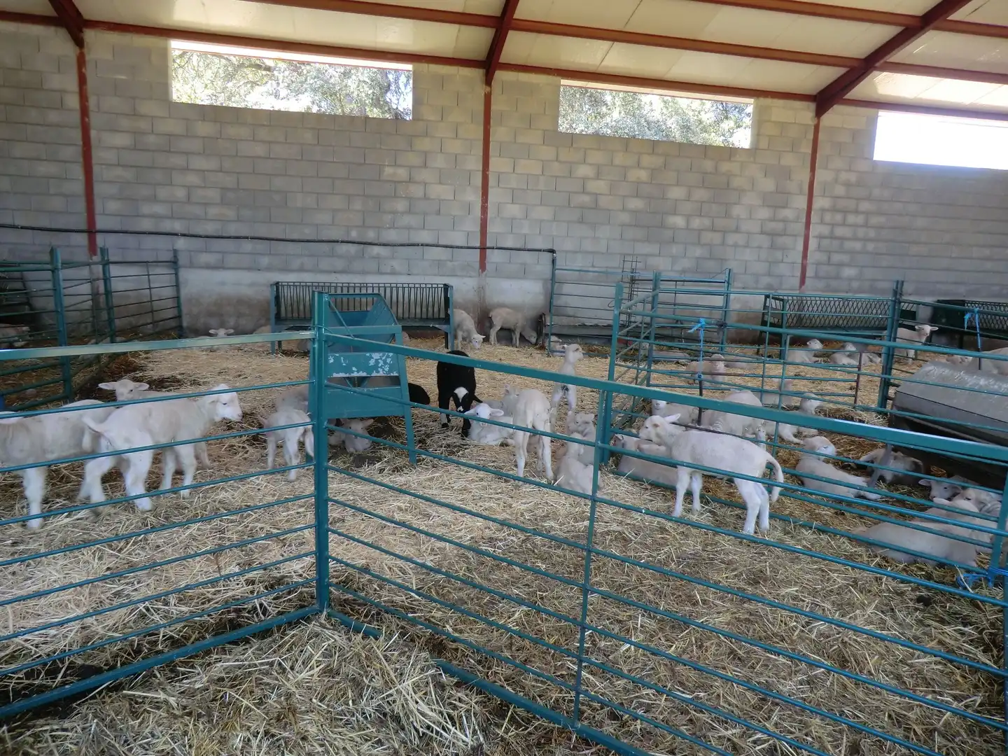 Immobles singulars en venda a Serrejón, imagen 21