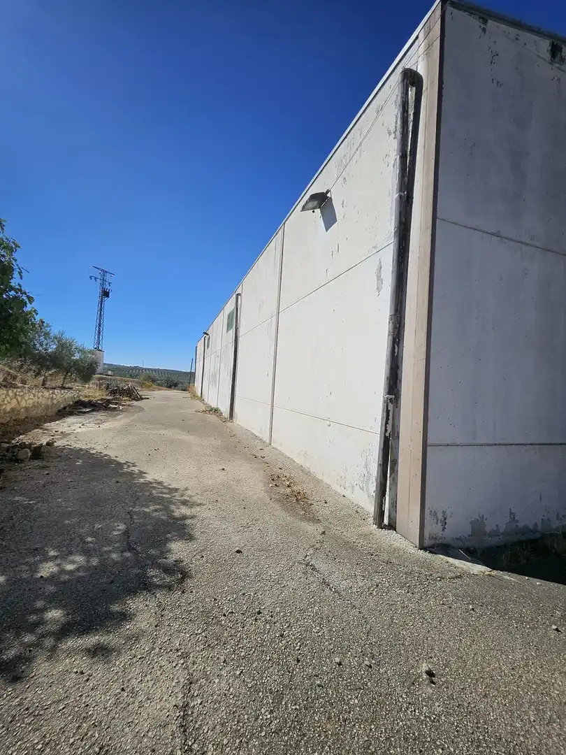 Terrain rustique à vendre à Carretera A-342 MONTURQUE-CABRA, imagen 7