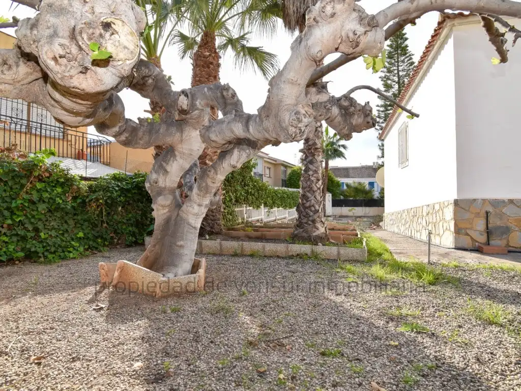 Jardín de Casa o chalet en venta en Águilas