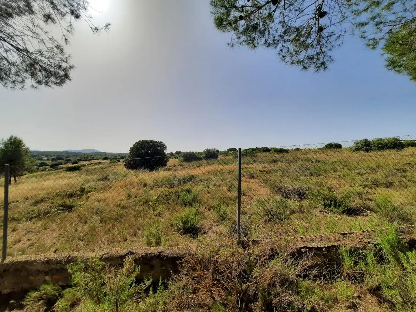 Casa o chalet en venta en Alpera con Amueblado