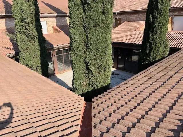 Exterior view of Buildings for sale in Almansa