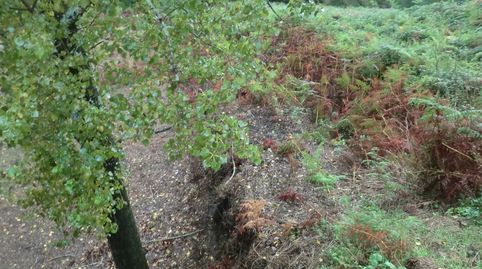 tERRENO CON  AGUA DE TRAIDA por un valor de 8.000 euros., imatge 2