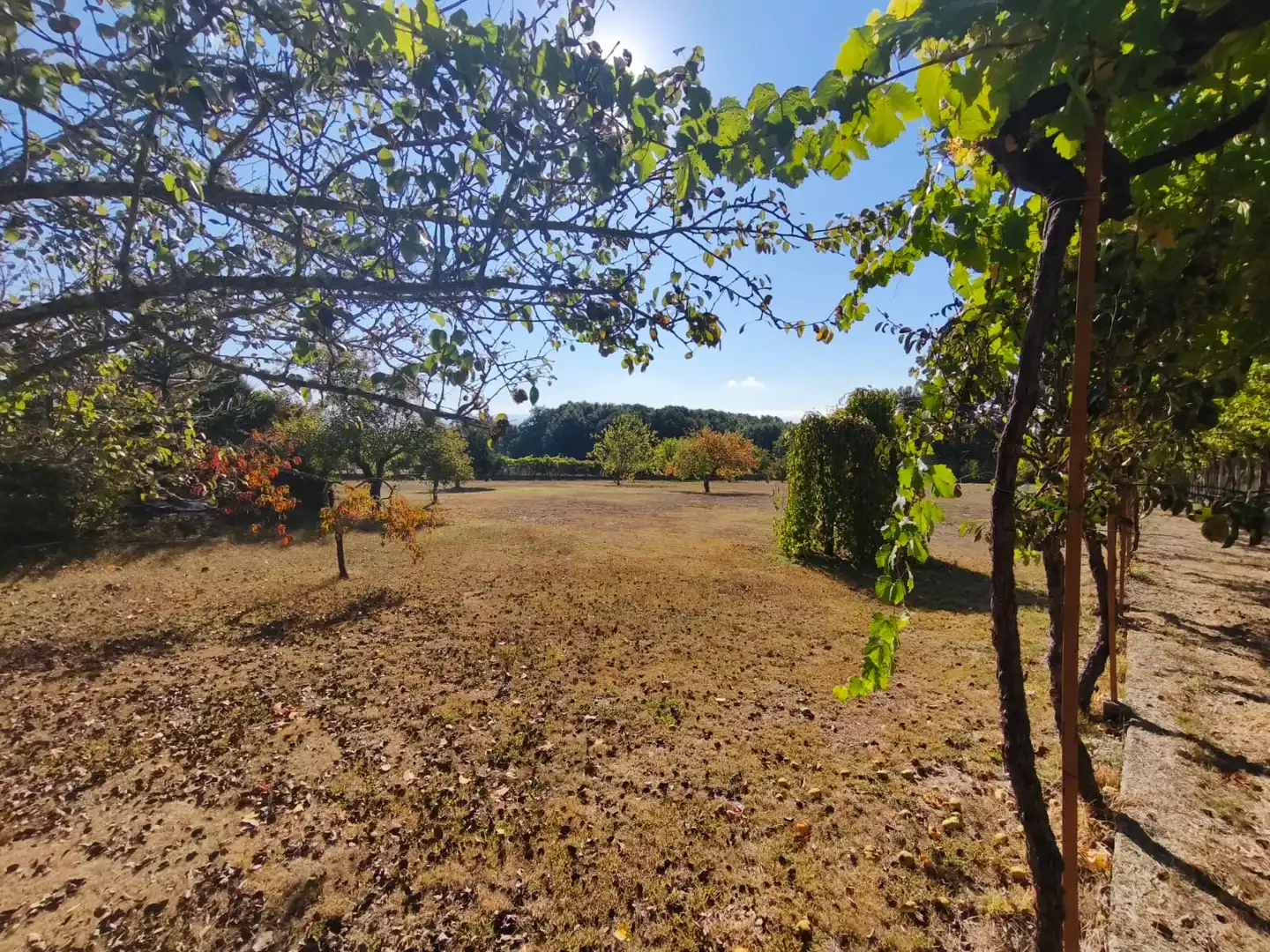 Chalet con terraza en venta en Coles, imagen 36