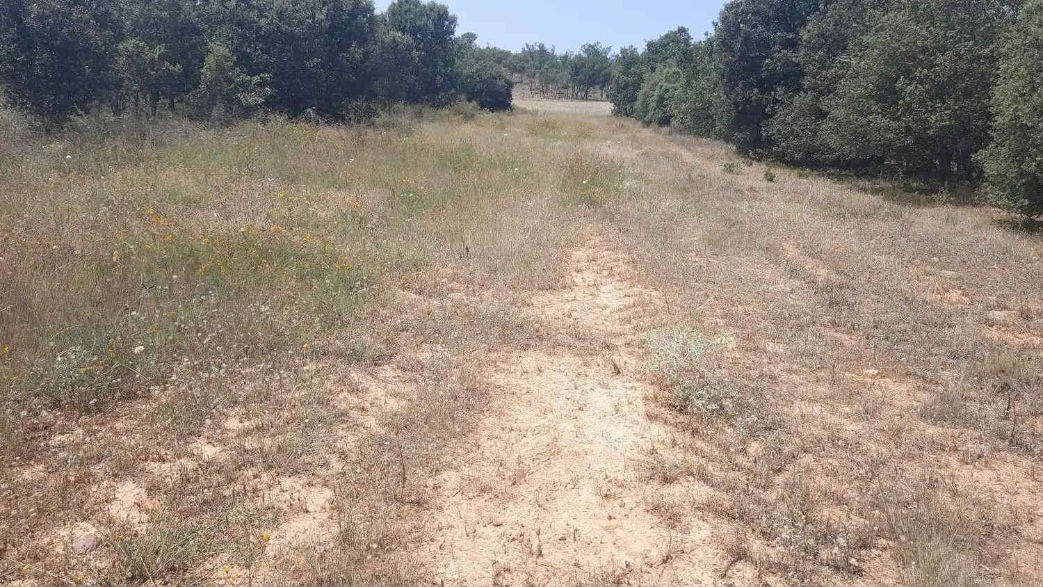 Residencial en venta en Villares de Órbigo