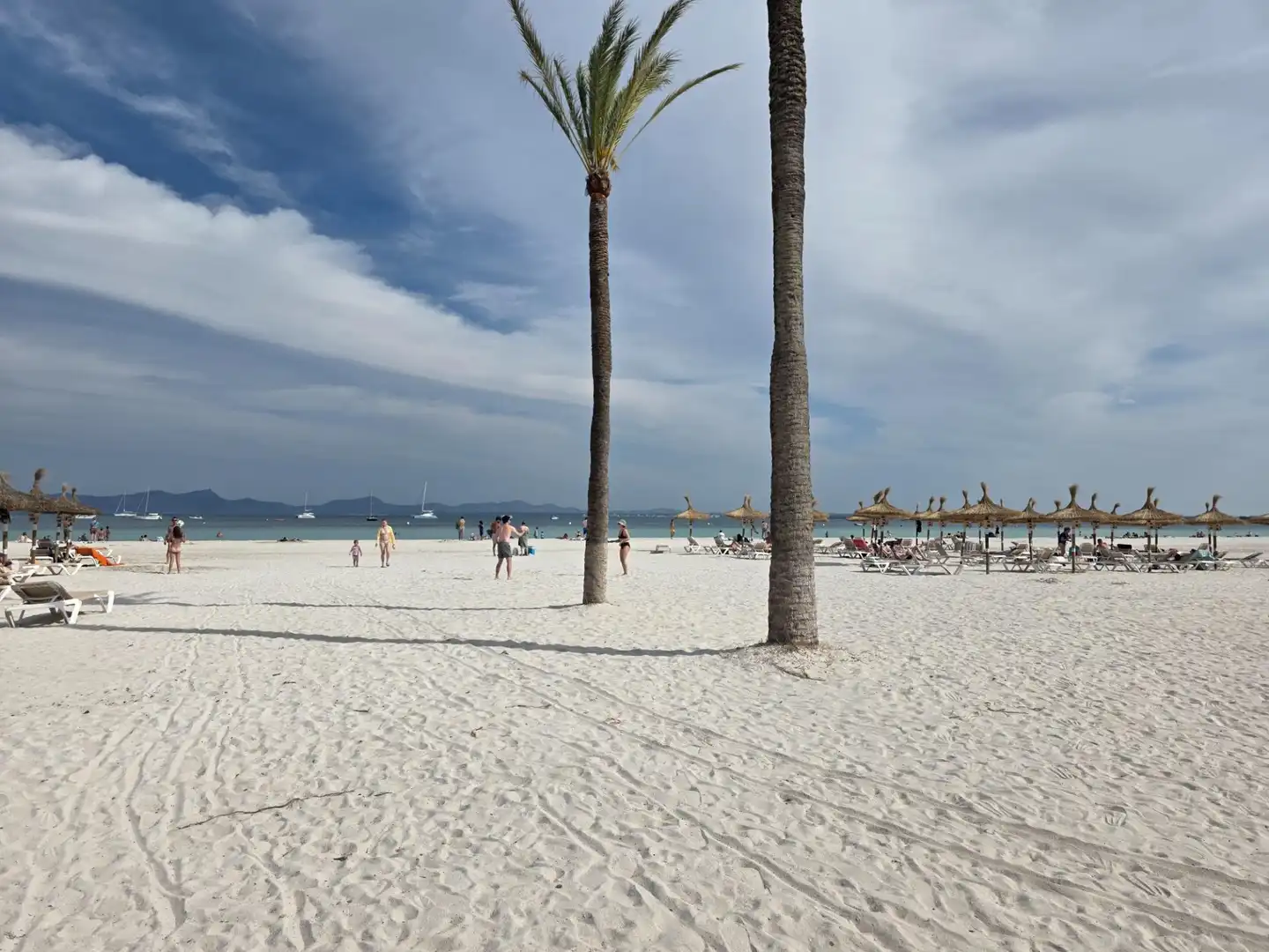 Vista exterior de Àtic en venda en Alcúdia amb Aire condicionat, Jardí privat i Terrassa