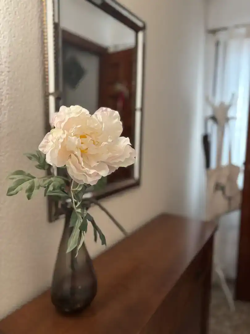 Wohnzimmer von Wohnung zur Miete in Faura, Valencia