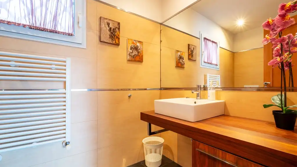 Baño de Casa o chalet en venta en Andratx con Aire acondicionado, Calefacción y Terraza
