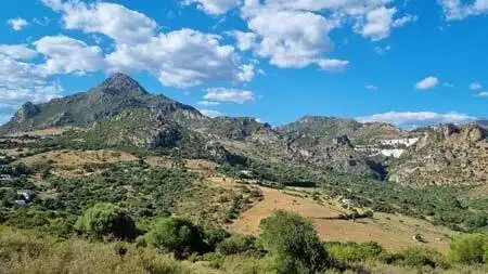 Terrenys i solars en venda a Casares pueblo