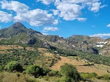 Grundstücke und Bauplätze zum Verkauf in Casares pueblo