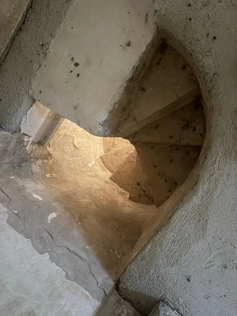 Finca rústica en venta en Oliva