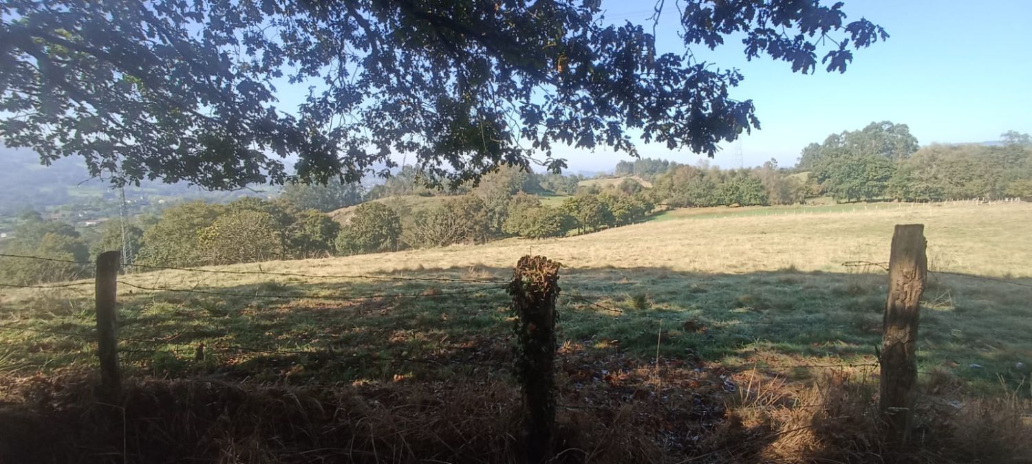 Finca rústica en venda en Nava