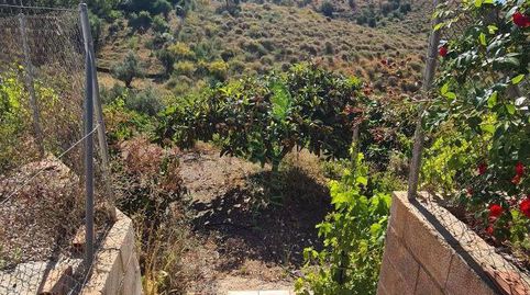Foto 5 de Finca rústica en venta en Norte - Barrio del Pilar - El Reñidero, Vélez-Málaga