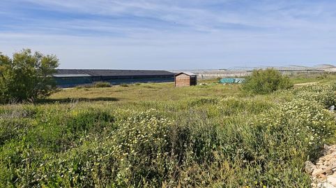 Foto 2 von Residential zum Verkauf in El Cuadrejon Chico, Cuatro Pinos - El Carmen, El Puerto de Santa María