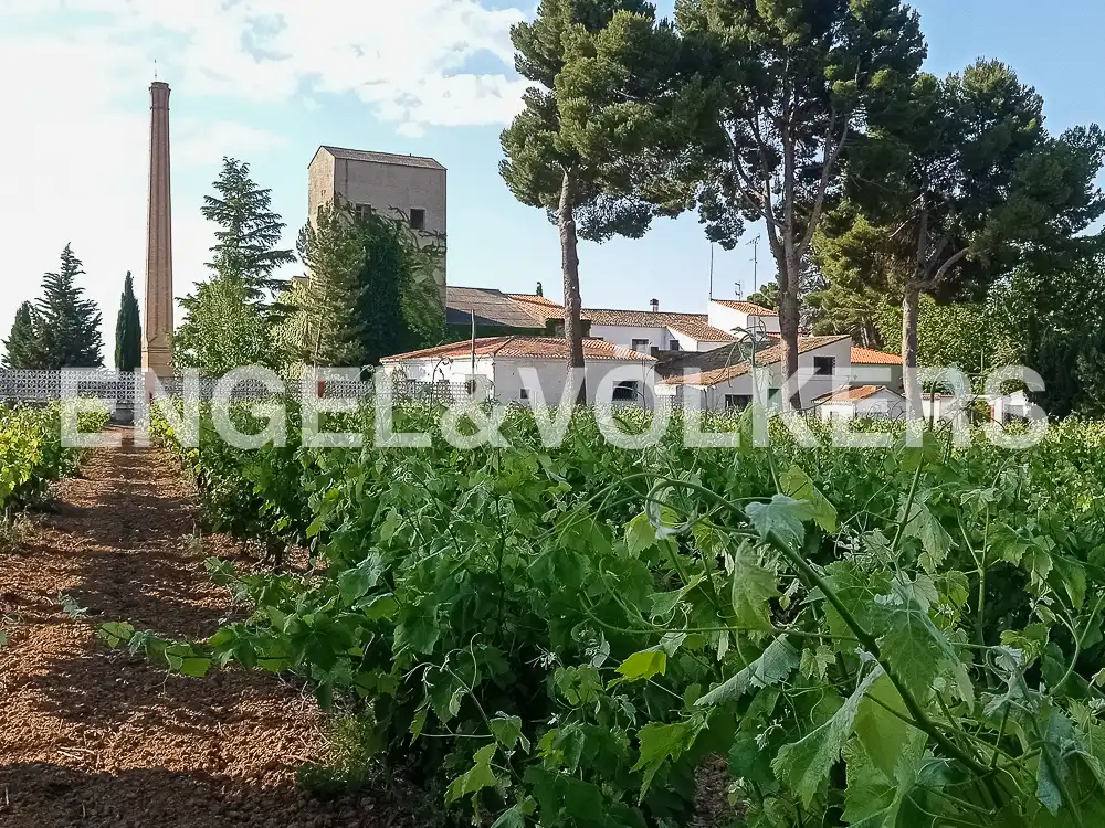 Houses for sale in Requena  with Heating, Private garden and Terrace