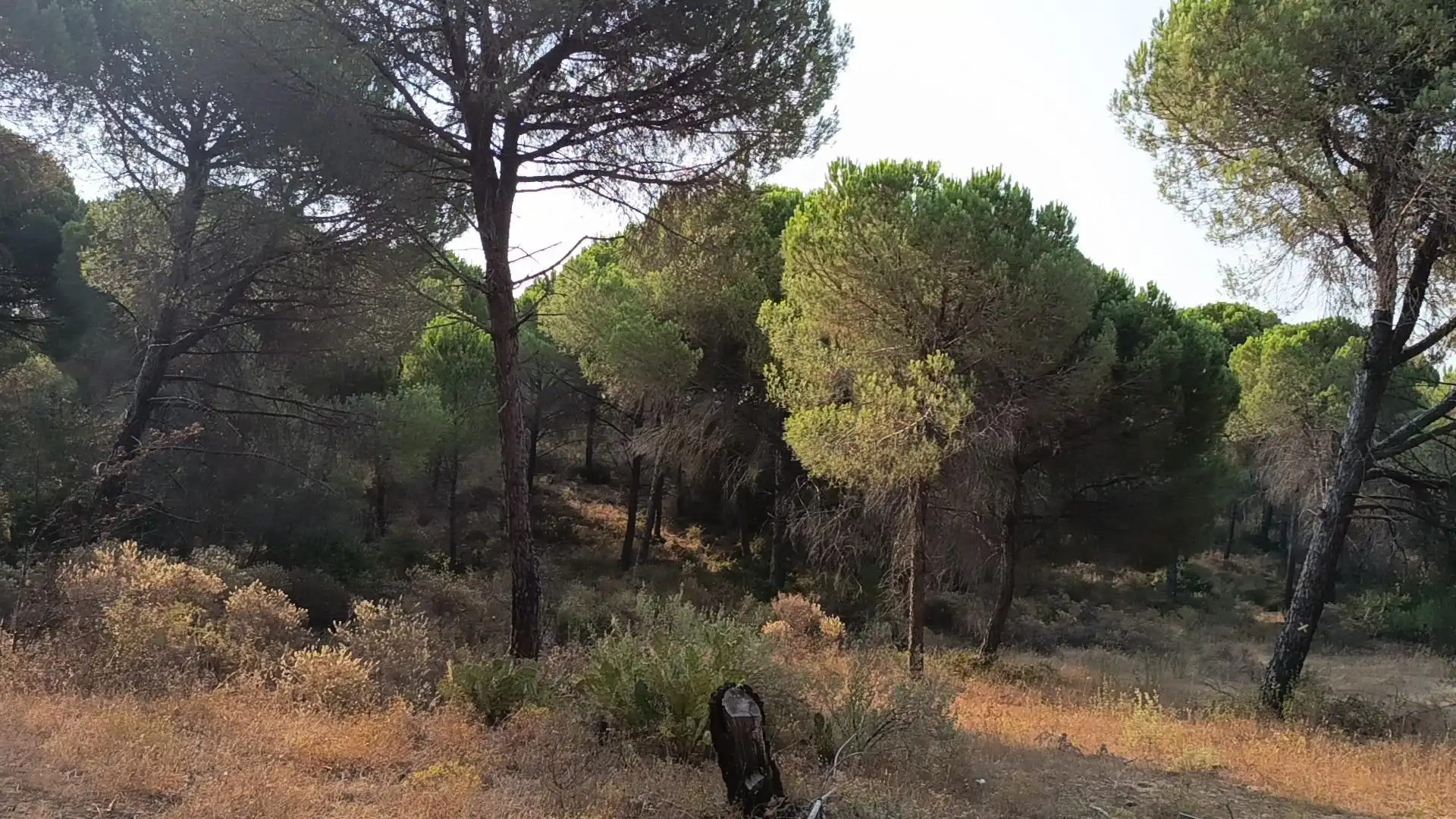 Terreno en venta en Villablanca