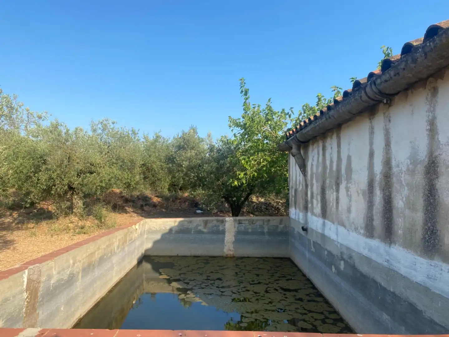 Casa rústica con piscina en venta en Ulldecona, imagen 23