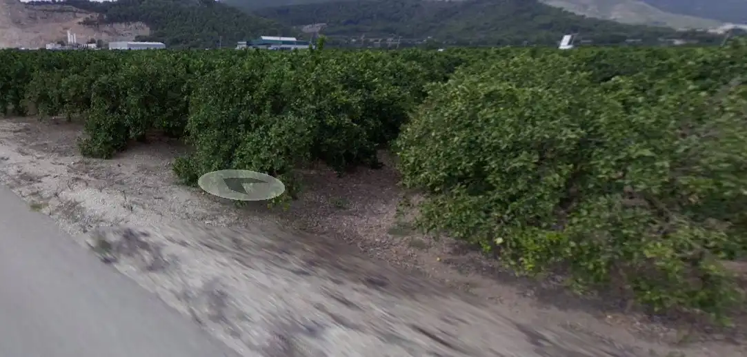 Rural land for sale in Tavernes de la Valldigna, imagen 4