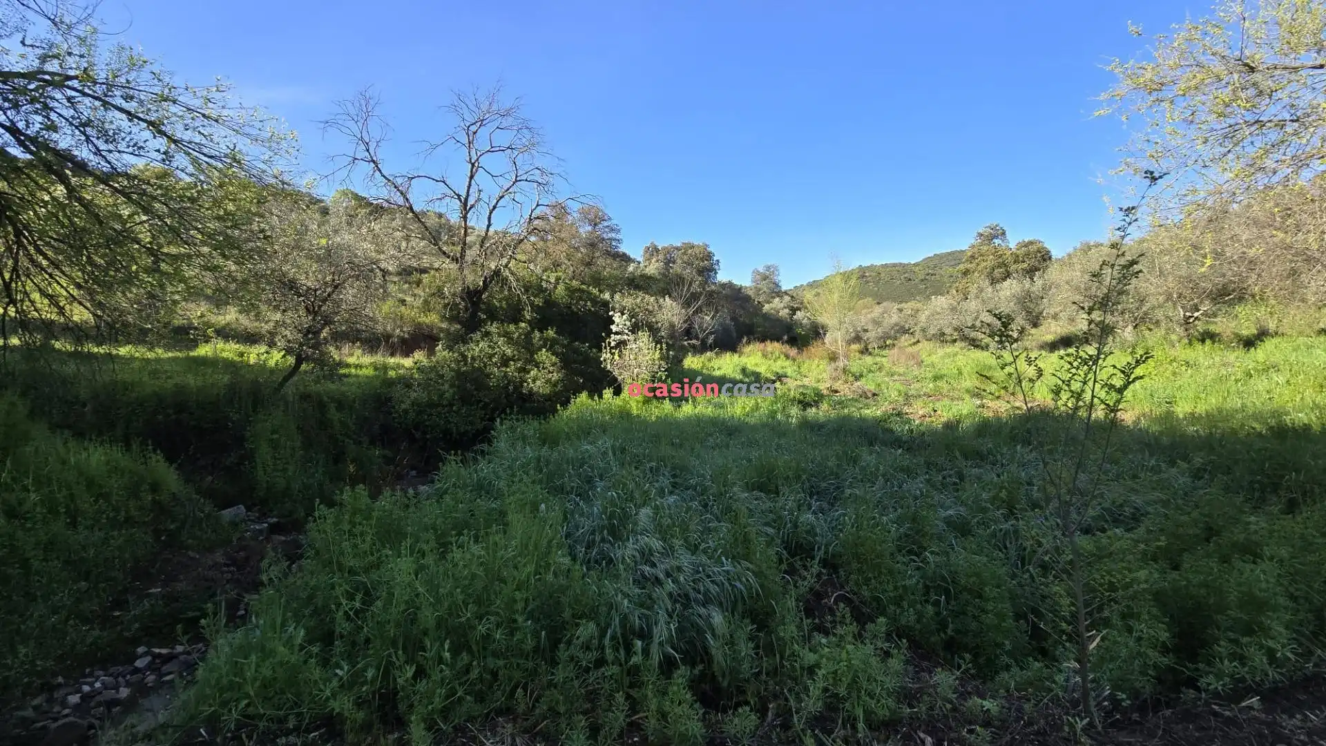 Casa o chalet en venta en Pozoblanco con Jardín privado, Terraza y Trastero