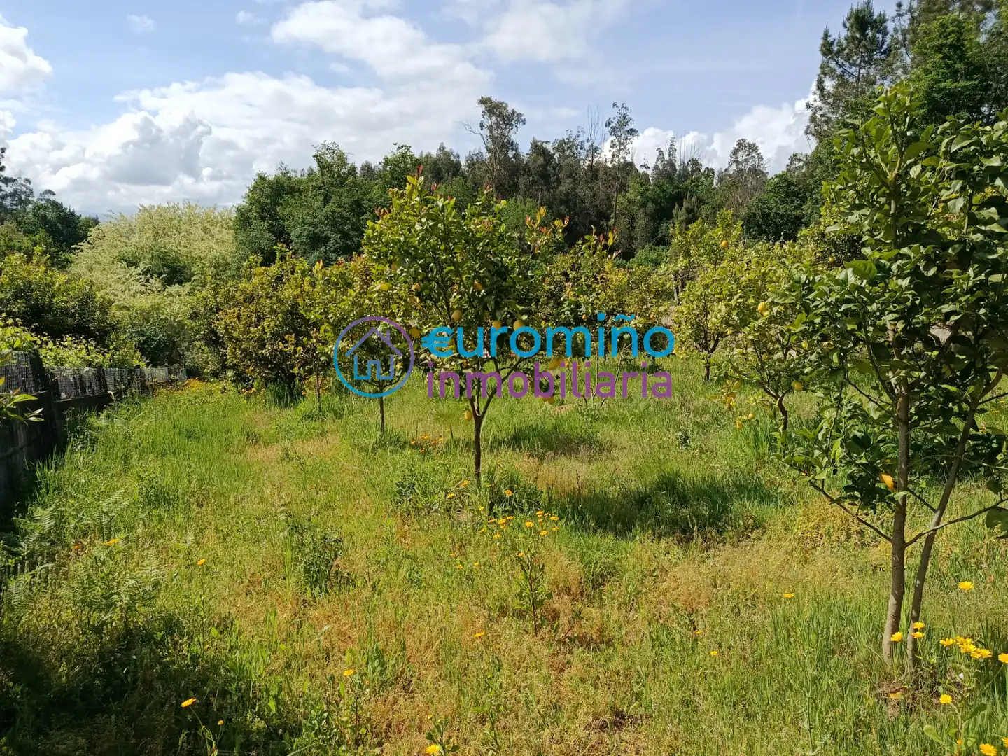 Casa o chalet en venta en Salvaterra de Miño con Jardín privado, Terraza y Trastero
