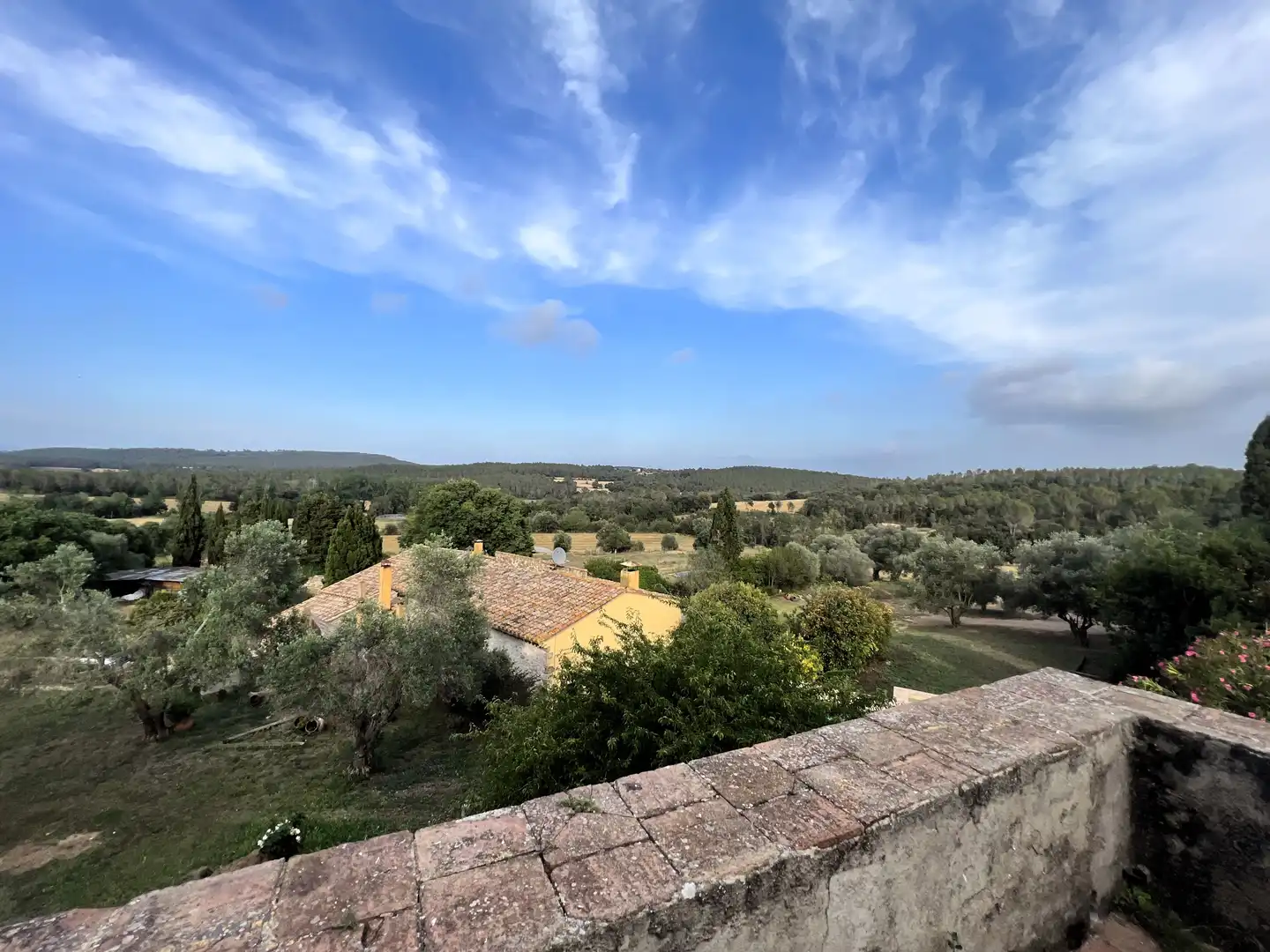 Jardín de Casa o chalet en venta en Vilopriu con Terraza y Balcón