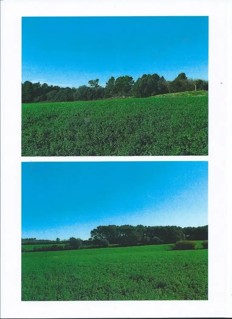 Finca rústica en venta en Vilopriu