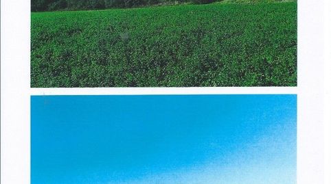Foto 3 de Finca rústica en venta en Vilopriu, Girona