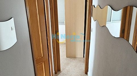 Foto 5 de Finca rústica en venta en Centro, Vélez-Málaga