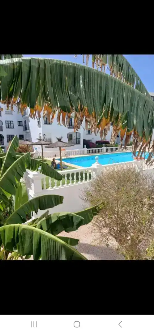 Swimming pool of Flat for rent in San Luis de Sabinillas